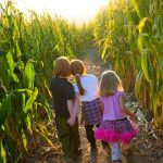 kids in corn maze copy