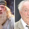 Michael Gambon(Albus Dumbledore) has died at 82