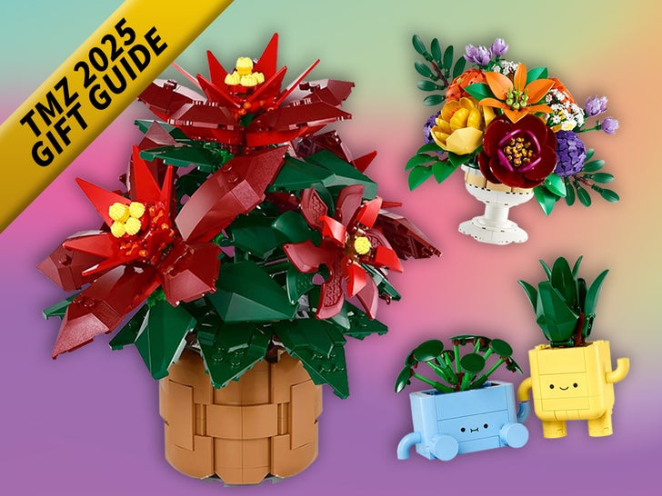 LEGO Botanicals holiday gifts deals poinsettia flower arrangements Christmas 2025